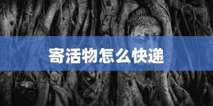 活物寄送截图