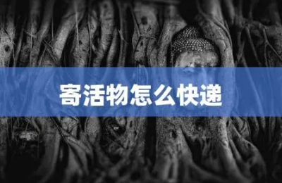 活物寄送截图