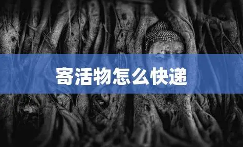 活物寄送截图