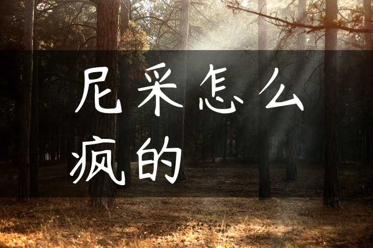 尼采怎么疯的