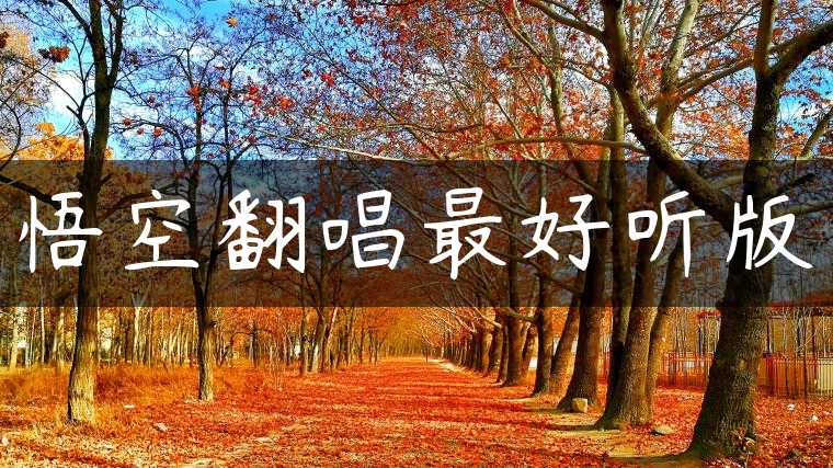 悟空翻唱最好听版