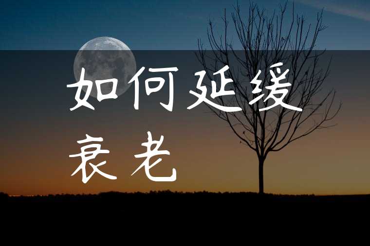 如何延缓衰老