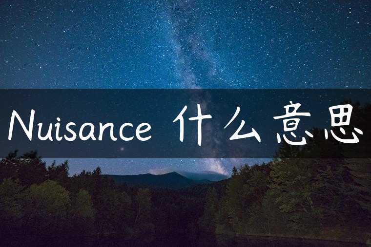 Nuisance 什么意思