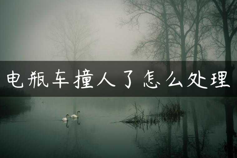 电瓶车撞人了怎么处理