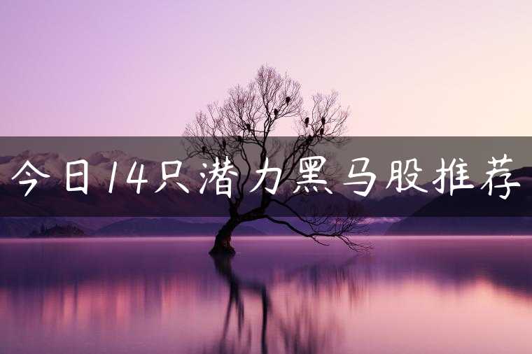 今日14只潜力黑马股推荐