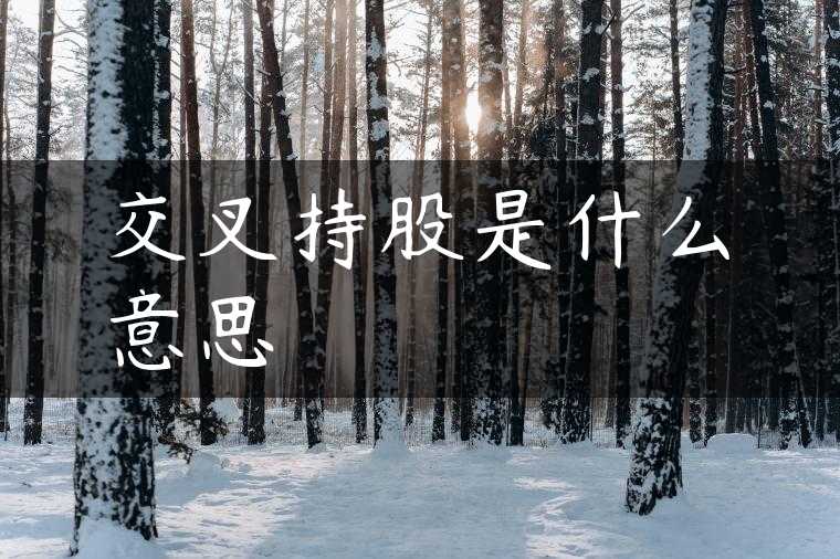 交叉持股是什么意思