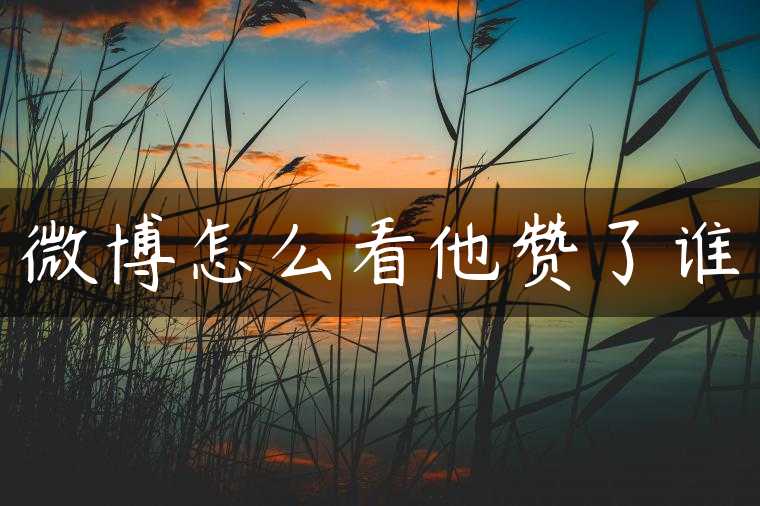 微博怎么看他赞了谁