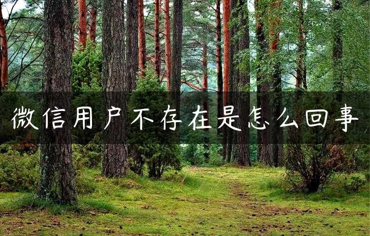 微信用户不存在是怎么回事