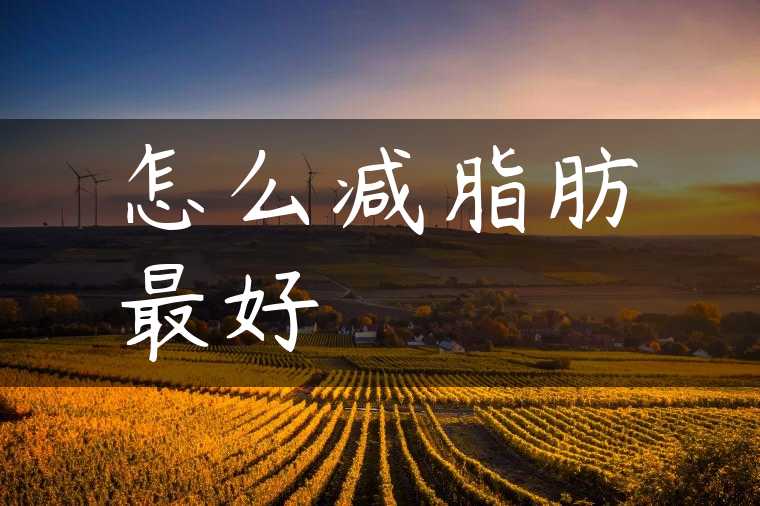 怎么减脂肪最好