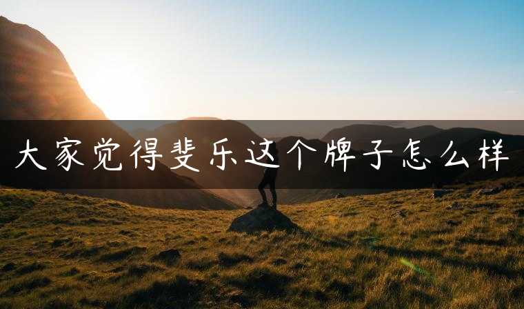 大家觉得斐乐这个牌子怎么样