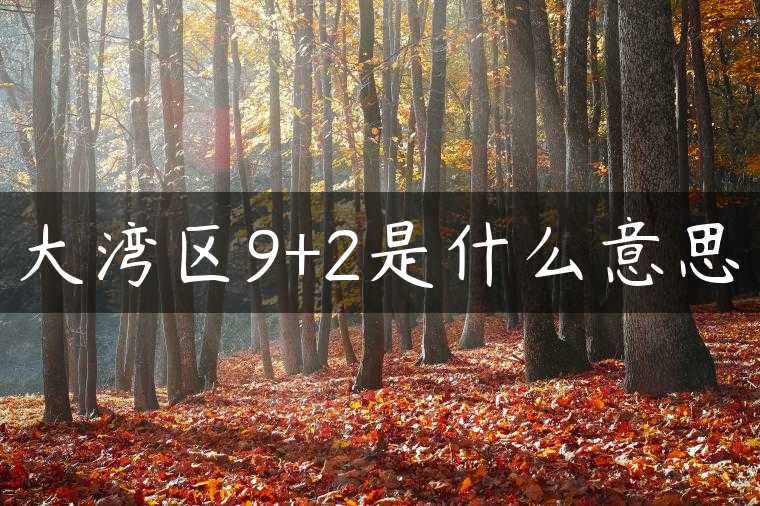 大湾区9+2是什么意思