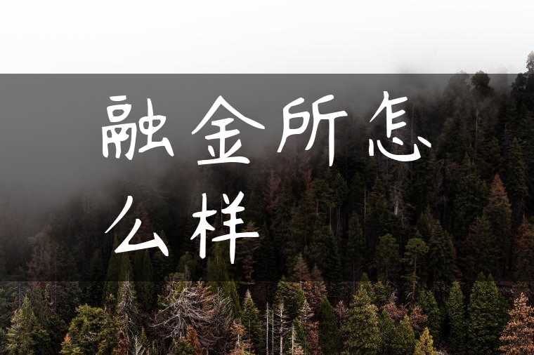 融金所怎么样