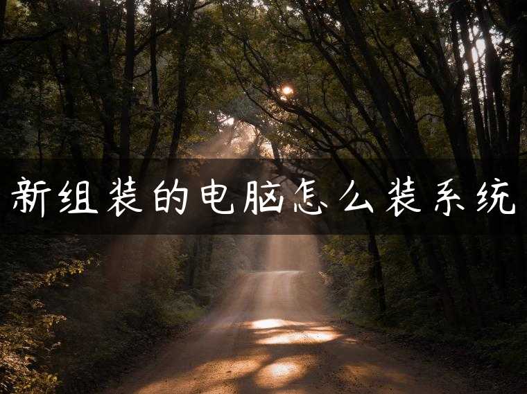 新组装的电脑怎么装系统