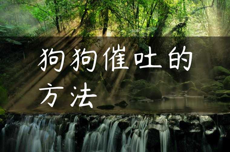 狗狗催吐的方法