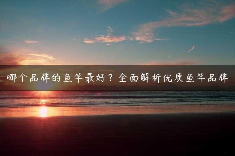 哪个品牌的鱼竿最好？全面解析优质鱼竿品牌