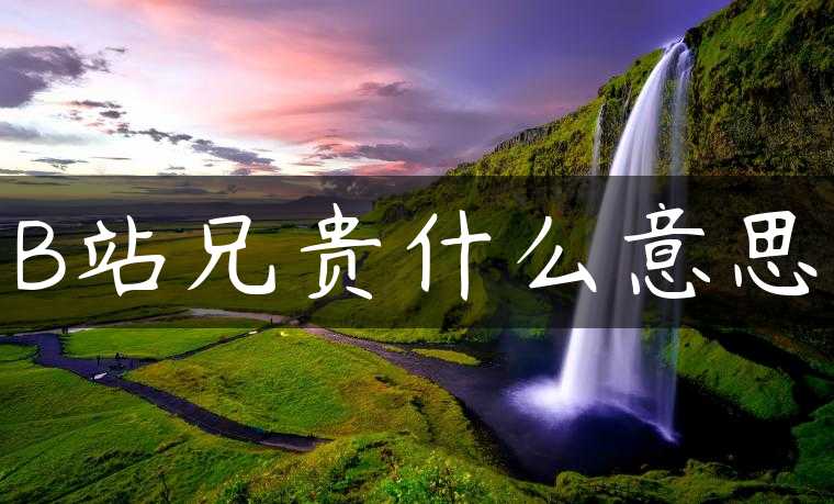 B站兄贵什么意思