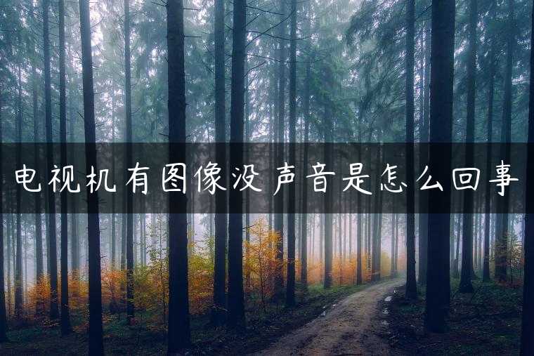 电视机有图像没声音是怎么回事