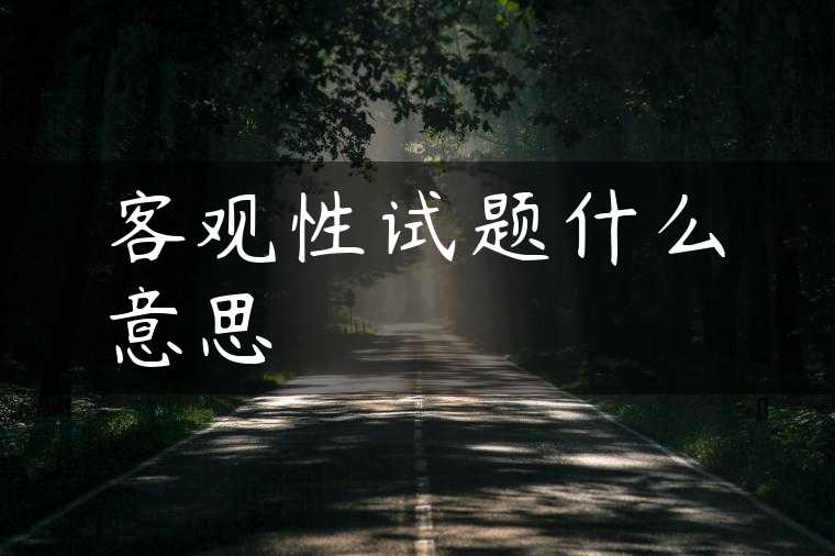 客观性试题什么意思