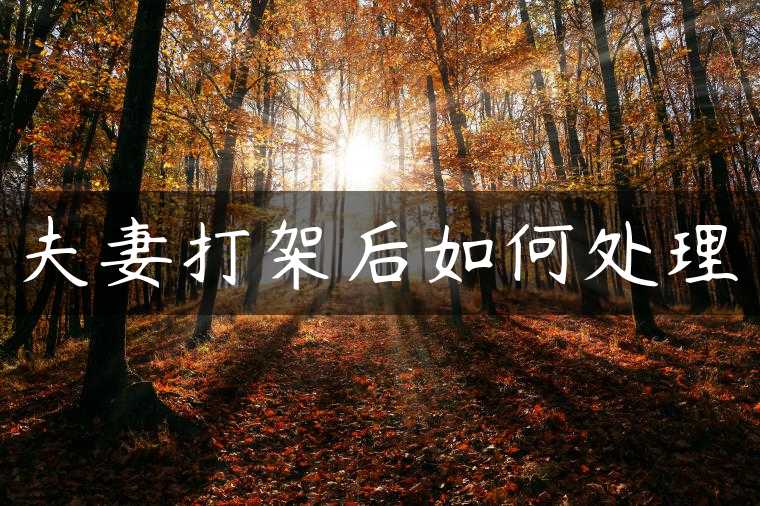 夫妻打架后如何处理