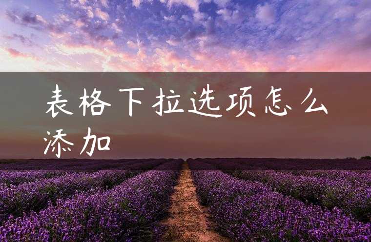 表格下拉选项怎么添加