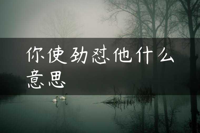 你使劲怼他什么意思