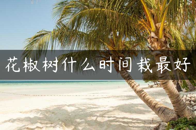 花椒树什么时间栽最好