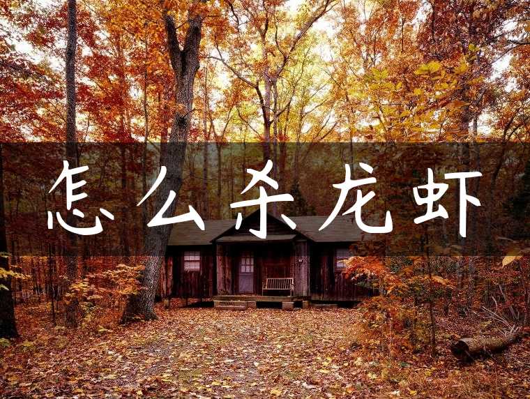 怎么杀龙虾