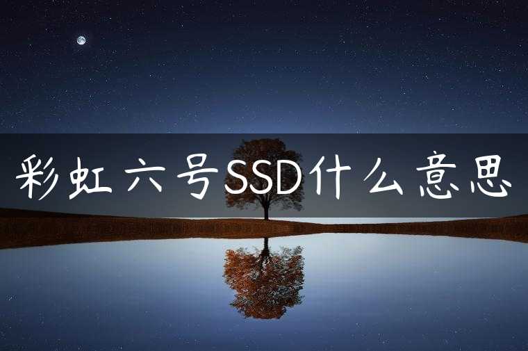 彩虹六号SSD什么意思