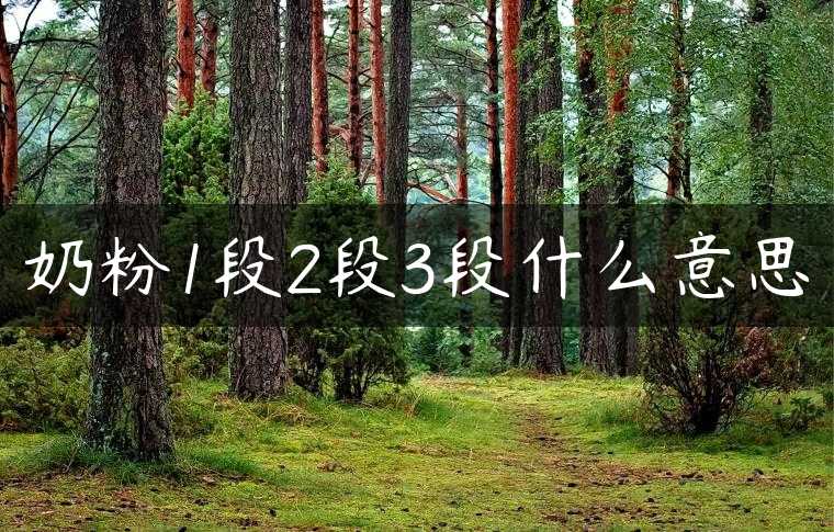 奶粉1段2段3段什么意思