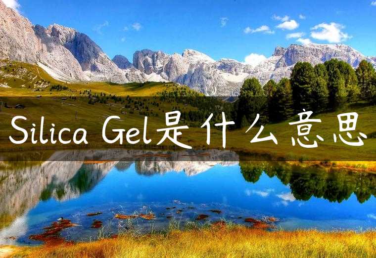 Silica Gel是什么意思