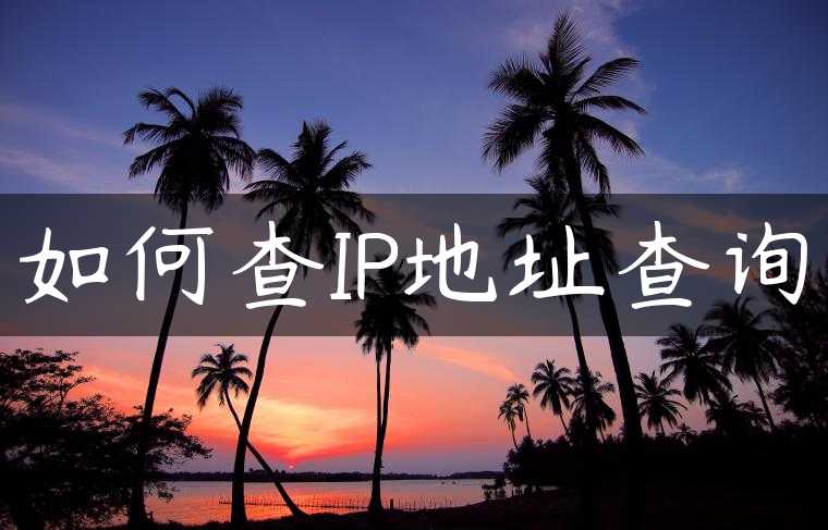 如何查IP地址查询