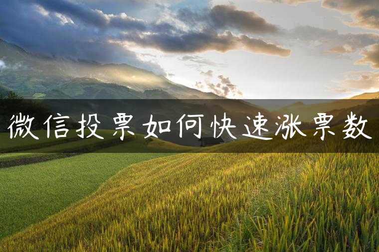 微信投票如何快速涨票数