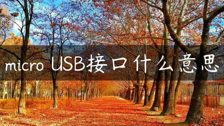micro USB接口什么意思