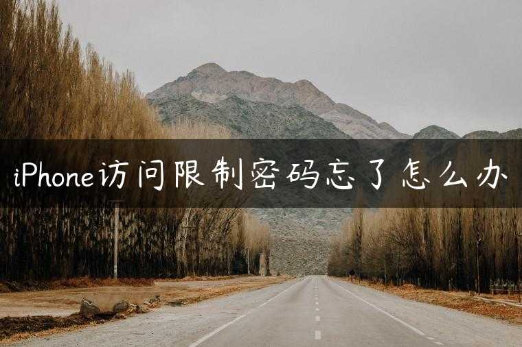iPhone访问限制密码忘了怎么办