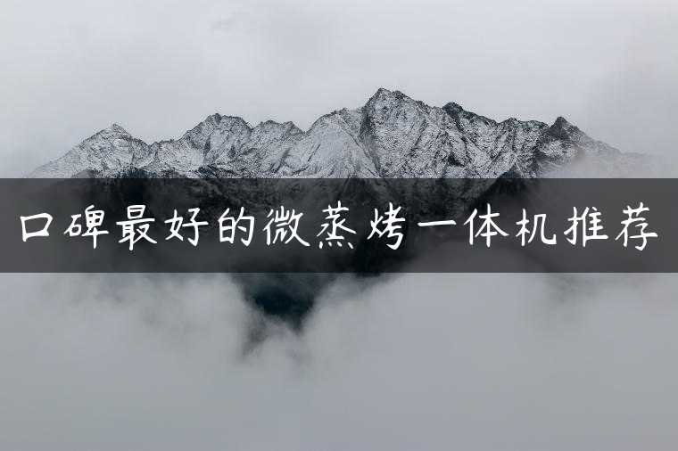 口碑最好的微蒸烤一体机推荐