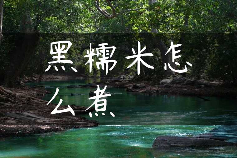 黑糯米怎么煮