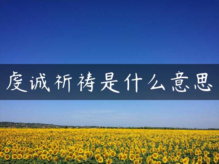 虔诚祈祷是什么意思