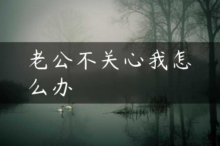 老公不关心我怎么办