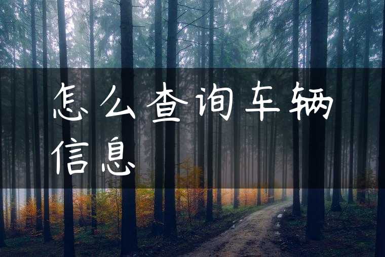 怎么查询车辆信息