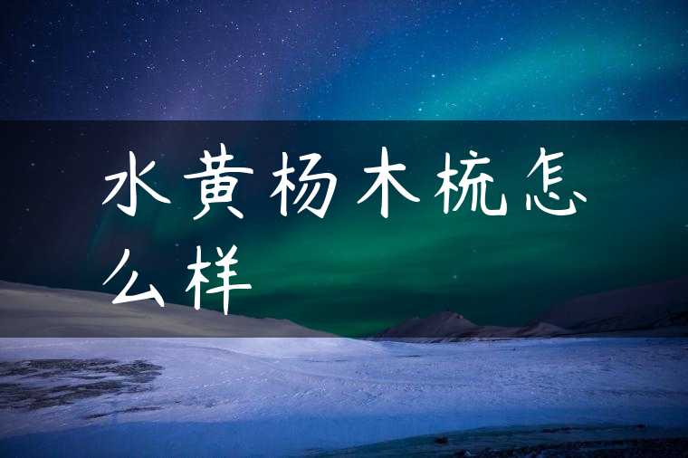水黄杨木梳怎么样