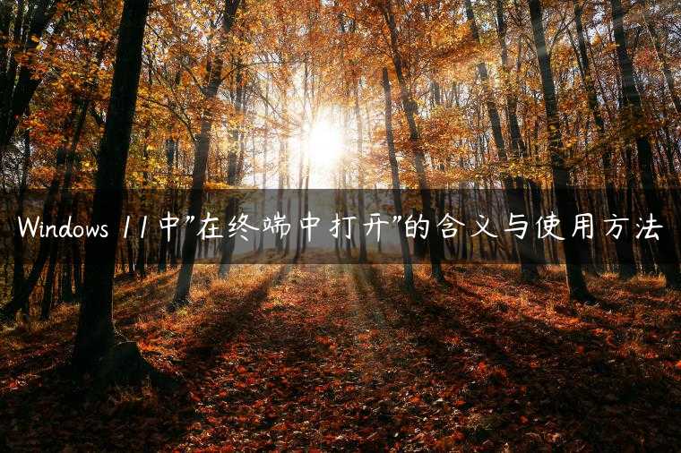 Windows 11中”在终端中打开”的含义与使用方法
