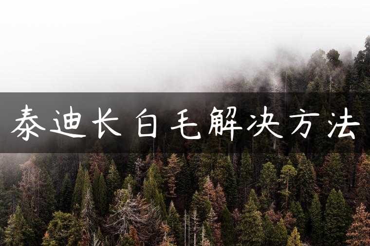 泰迪长白毛解决方法