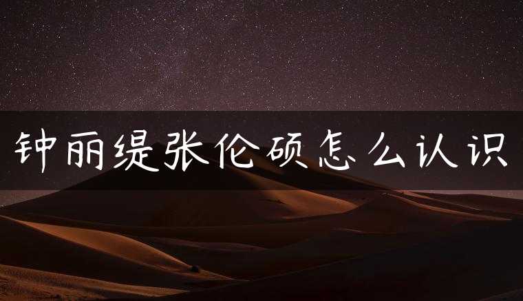 钟丽缇张伦硕怎么认识