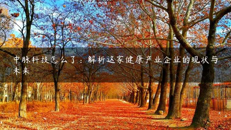 中脉科技怎么了：解析这家健康产业企业的现状与未来