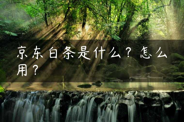 京东白条是什么？怎么用？