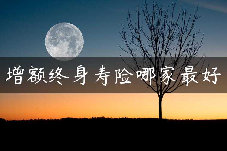 增额终身寿险哪家最好