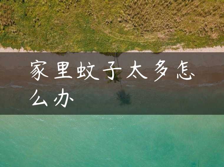 家里蚊子太多怎么办