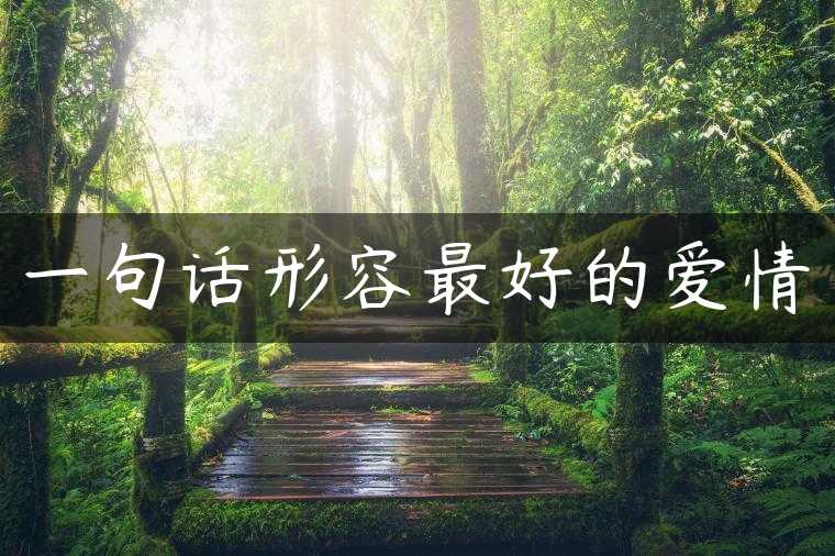 一句话形容最好的爱情