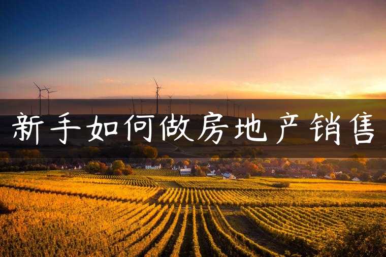 新手如何做房地产销售