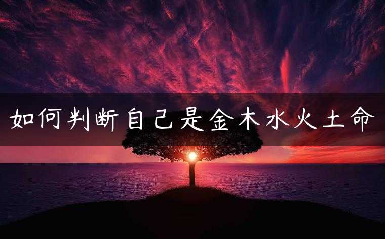 如何判断自己是金木水火土命